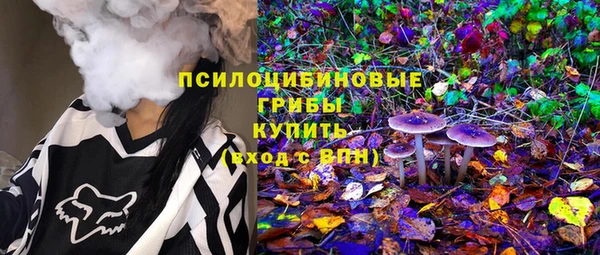 спайс Арсеньев