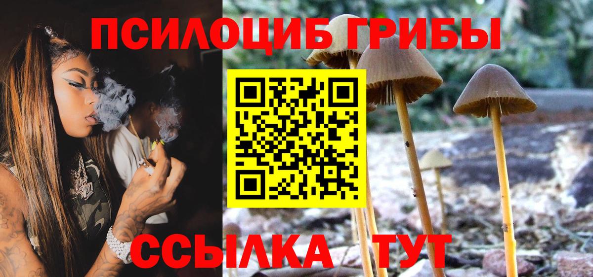 Галлюциногенные грибы MAGIC MUSHROOMS Нижний Тагил