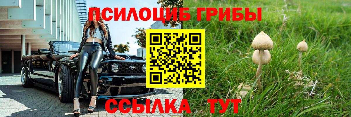 Псилоцибиновые грибы MAGIC MUSHROOMS  Вход с VPN  Нижний Тагил 